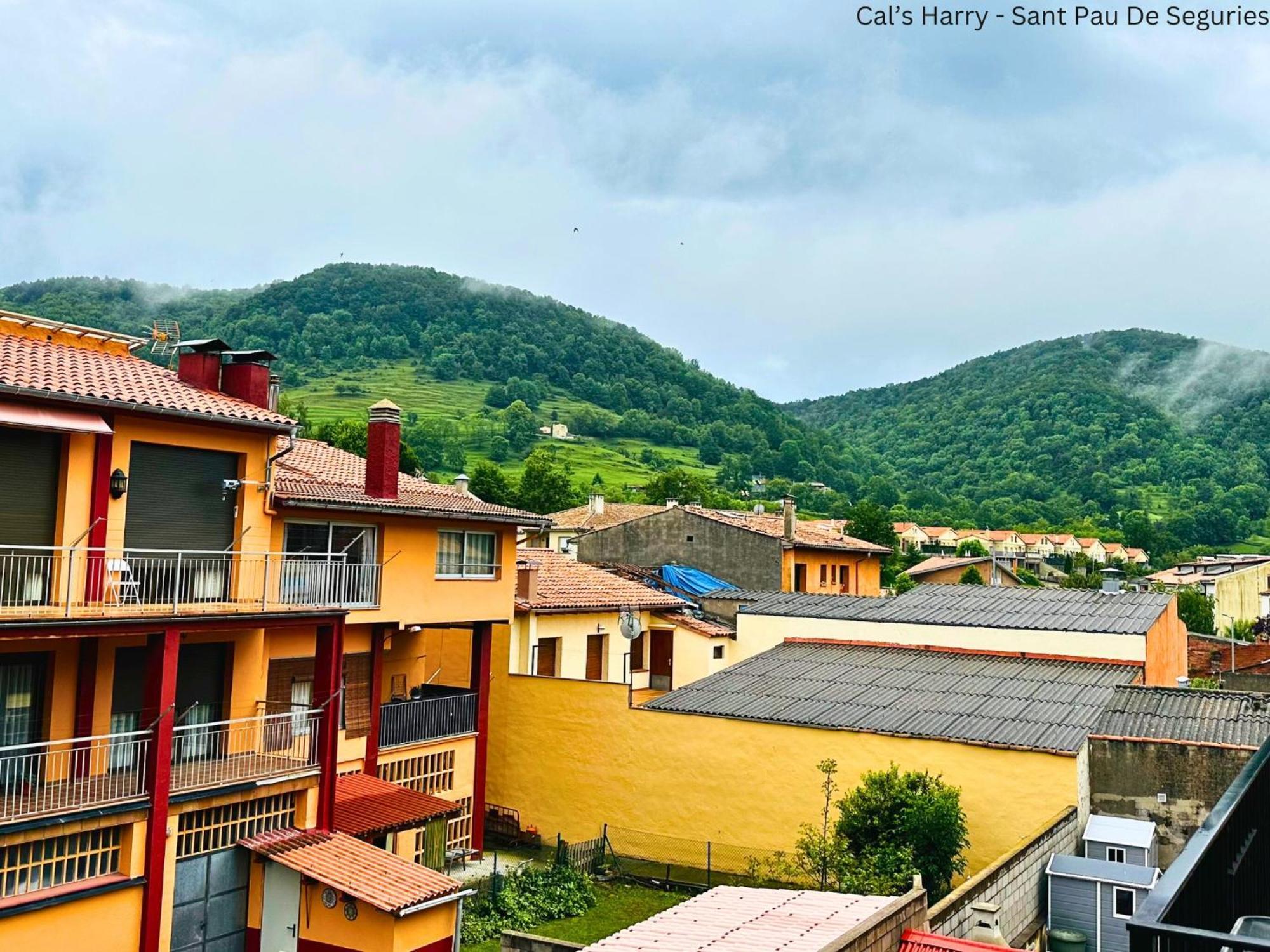 Cal Harrys - La Mejor Casa De Vacaciones En Pyrenees Con Vistas A La Montana Sant Pau de Segúries Exterior photo
